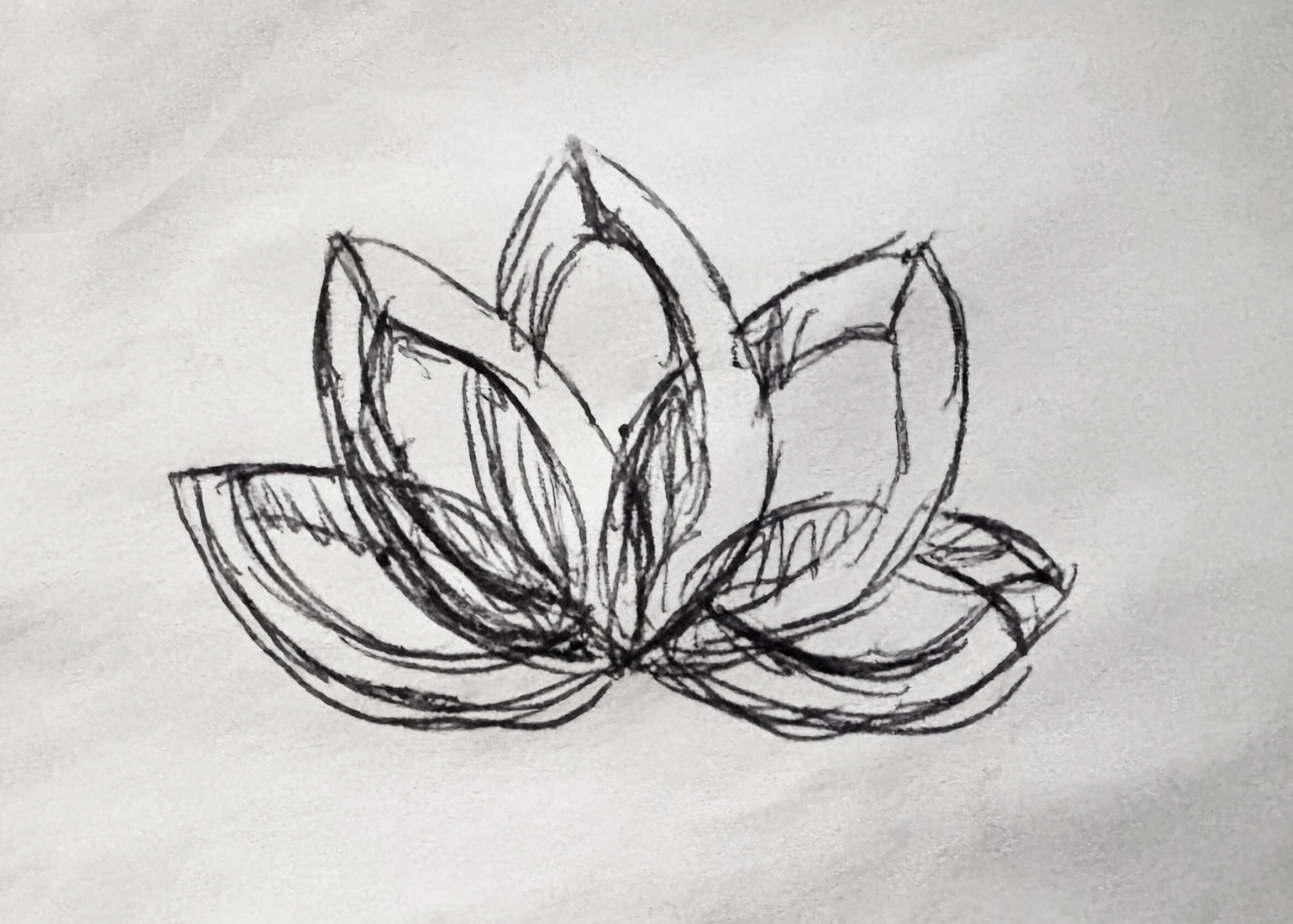 Lotus Spa Logo Sketch